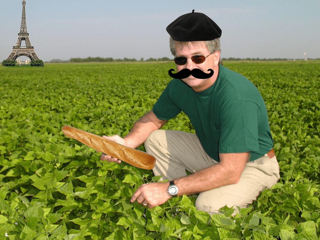 French Bob