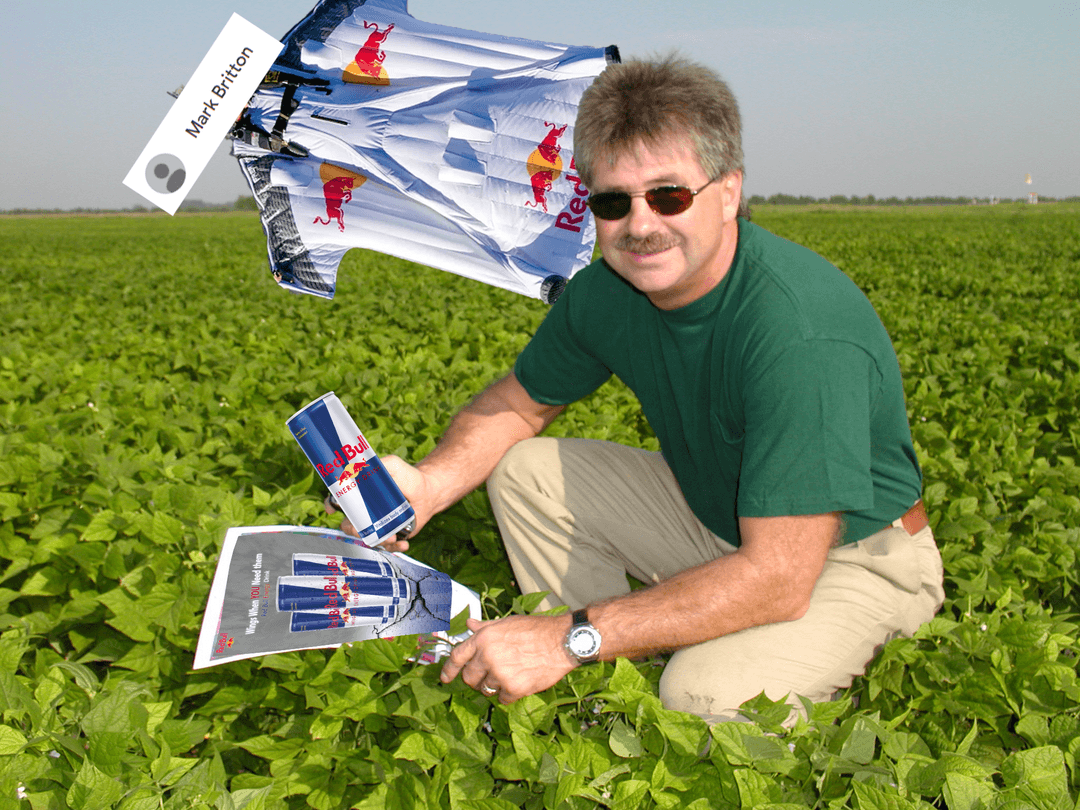 Red Bull Bob